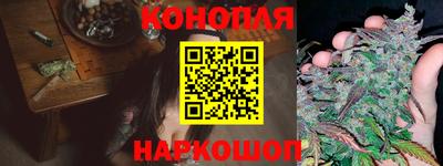 ешки Будённовск