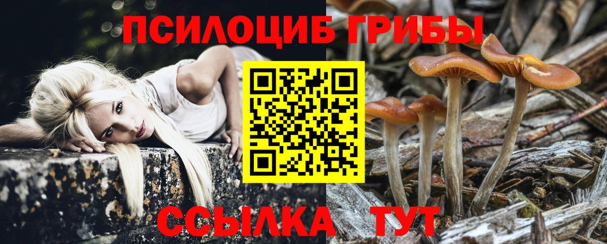 Псилоцибиновые грибы ЛСД  Вход с VPN  Мариинск 
